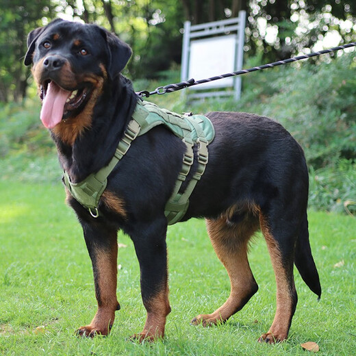 Super durable extended dog leash night reflective round rope 20 meters 30 meters Teddy Shiba Inu Golden Retriever Corgi dog rope horse rope black 10 meters (for large dogs)