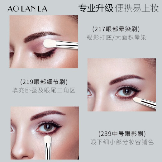 AOLANLA professional master 239 eye shadow brush blending brush detail brush set soft animal hair complete set of eye makeup brushes 5 eye shadow brush set