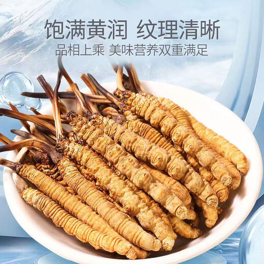 Wazang authentique Cordyceps Cordyceps Boîte-cadeau avec Futures de tête cordyceps secs cordyceps cordyceps haute altitude 5-6 racines / g 1 racine