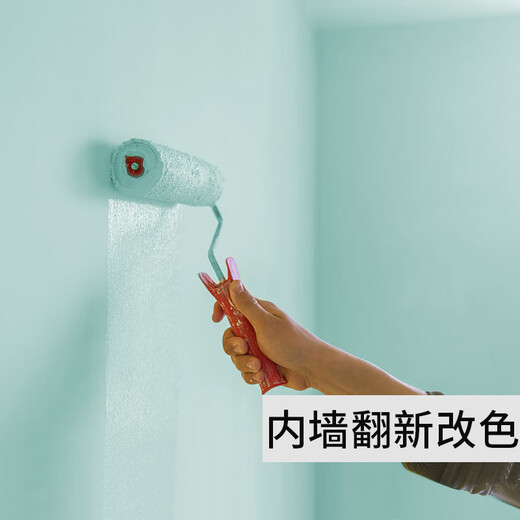 XMSJ硅藻泥涂料墙面漆自刷家用无乳胶漆室内水性内墙翻新卧室 1592青云+工具 18L