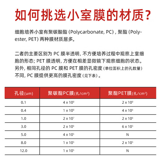 Wenzhi 6 puits à 6 puits à 24 pylpet pcpet cellule de chambre de chambre de chambre de chambre Transwell 12-puits 3,0UM Polyester Membrane Pet 14222