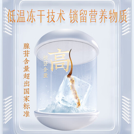 Yunnan Baiyao Cordyceps Box 4 Pieces/G*20g Cordyceps liofilizado Caja de regalo 80 Caja de regalo de alta gama integral para dar regalos a los líderes