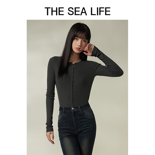 
THE SEA LIFE Ou Hai Yisheng 24 spring and summer sweater looks slim and thin slim commuting base shirt X15738 Pigeon gray M