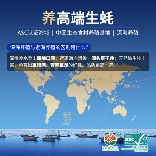 Bassling Fresh Rushan Ecological Oysters 4XL Net weight 9Jin Jin is equal to 0.5kg 17-23 pcs Freshly delivered directly from the source for New Year gifts