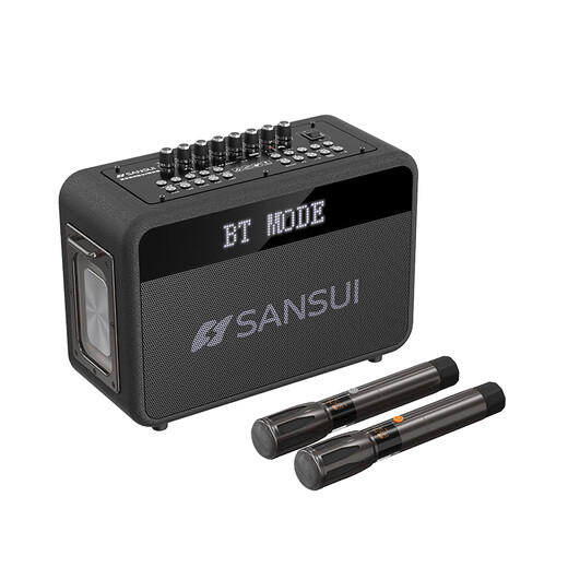 山水（SANSUI）便携式手提音箱广场舞音响音箱带KTV无线话筒小型直播k歌音响移动户外大功率声卡卡拉OK G13【歌词同步+一键消音】