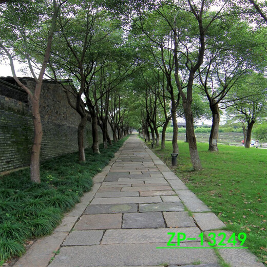 CLCEY农村背景布乡村怀旧网红主播直播背景布3d立体直播间挂布田野丰收 ZP-15253 2.5米宽+2.5米高 (挂钩)