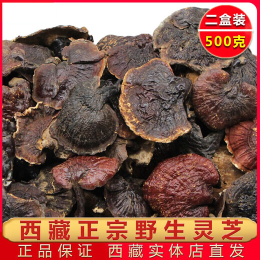 Юань клан Pure Wild Ganoderma lucidum, тибетские сухие товары, красный циркон Linzhi, срезы с золотым краем, 500 г чернокожих, 500 г туфли-желтого цвета в течение более 20 лет.