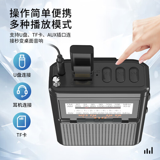 Newman BT80-Radio für ältere Menschen zum Hören von Musik mit Vollband-Englisch-Stufen 4 und 6, Plug-in-Kartenspieler, wiederaufladbarer FM-Walkman-Minilautsprecher