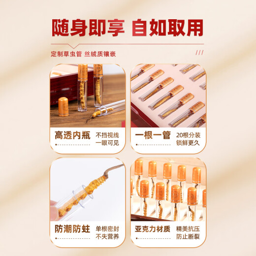 聚和泰 头茬冬虫夏草礼盒20管/5g母亲端午节送礼父母长辈健康营养滋补品