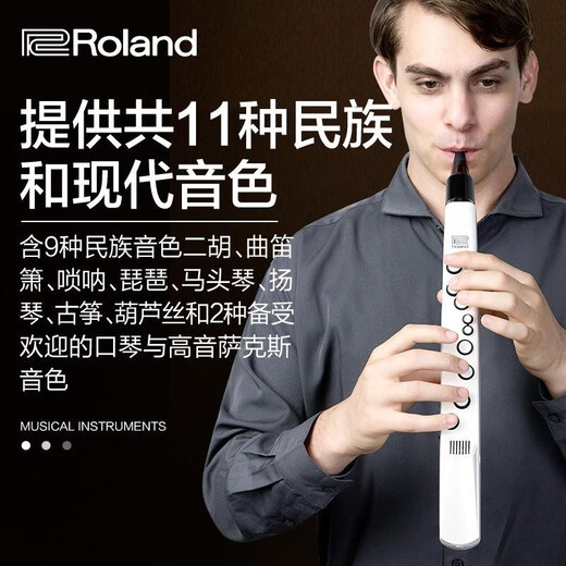贤怀达正品日本品牌Roland罗兰AE-01电吹管老人电萨克斯电子乐器二胡AE0 罗兰AE-01C民族版(套餐五)