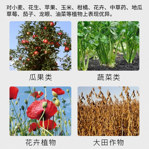 28 table high brassinolide plant growth regulator rooting and seedling foliar fertilizer vegetable flower and fruit preserving pesticide 1000g
