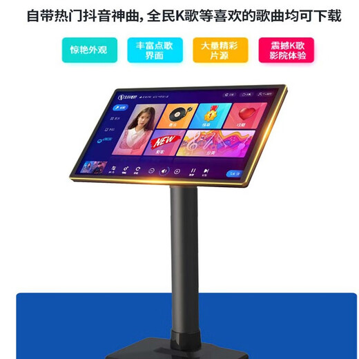 先科家庭ktv音响套装点歌机卡拉ok点唱一体机全套会议室家用家庭影院K歌全套电视客厅专业唱歌组合音箱 专业12寸10单元+功放+充电话筒+500G点歌机