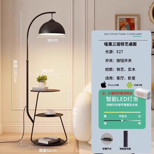 钟帅卧室新款2024钓鱼旁边风灯立灯奶油沙发落地灯边客厅边几落地灯 黑杆+铁艺置物+遥控调光