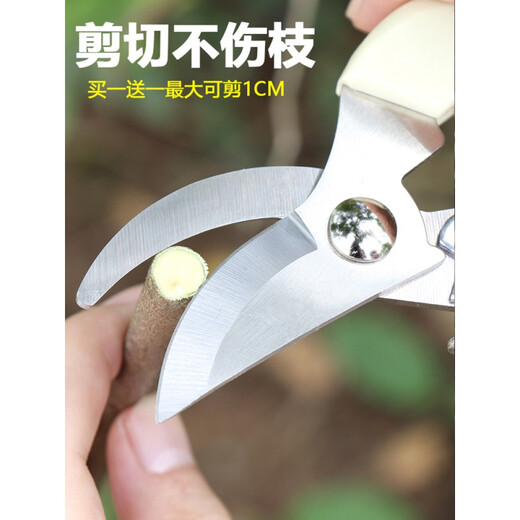 莎庭 SARTILL不锈钢园林剪刀粗枝剪果树剪树枝剪修枝修花园艺小剪刀多功能 14116修枝剪+14116摘果剪
