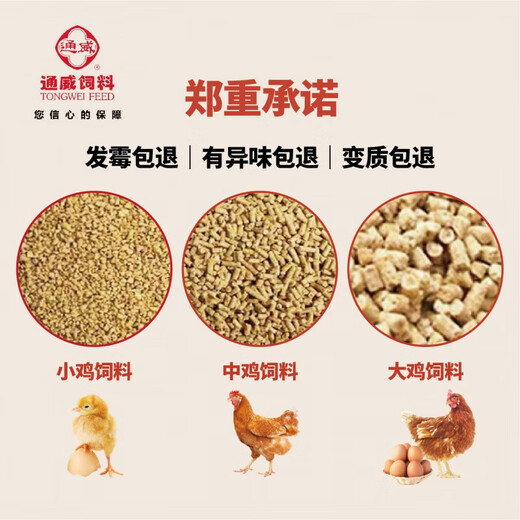 Tongwei Feed Breeding Special Open Layer Chicken and Duck Bird Feed Full Price Chicken Food Rutin Large Chicken Fishing Nutritional Chicken Media Tongwei 422 7 weeks old to start of production Duck in Egg-Trial