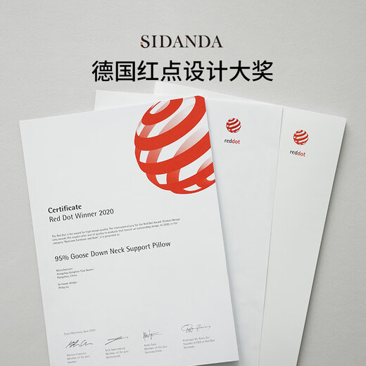 Sidanda Kissen Kern Deutsch Red Dot Award Awvical Wirbel Kissen Antibakteriell 95% Gans Down -Kissen plus Hochkissen 48*74 cm