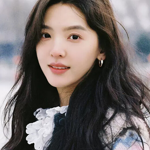 Idel hoop earrings for women 2025 new high-end earrings light luxury niche earrings birthday gift E3487 earrings