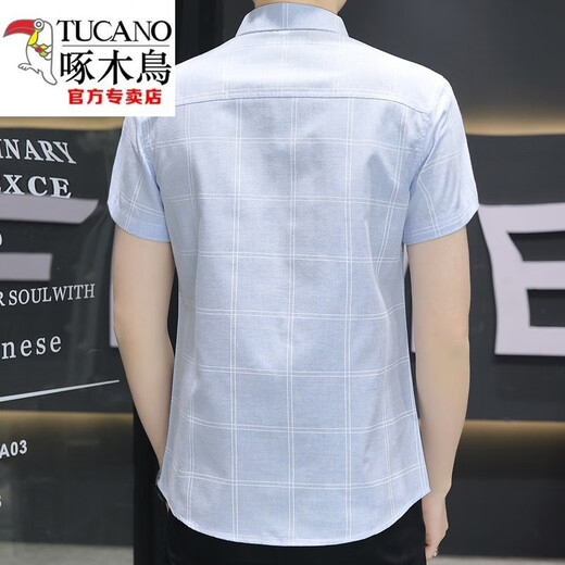 Holzspecker (Tucano) 2024 Neues Ice Seide kurzärmeliges Hemd Herren Sommerdünn Taschenhemd Korean Casual Plaid Top Green 847 M 90-104jin [Jin gleich 0,5 kg]