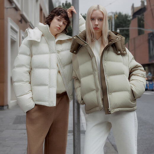 Tambor Down Jacket para mujeres de moda corta de moda y sombrero extraíble