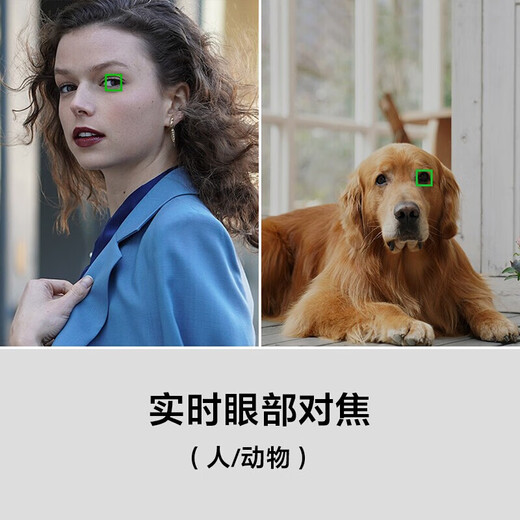 Sony (SONY) ILCE-7M3K standard set full-frame mirrorless digital camera approximately 24.2 million effective pixels 5-axis anti-shake A73/A7M3/A7M3K memory card set