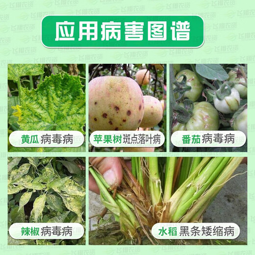 Bright Leaf 8% Ningnanmycin Cucumber Tomato Pepper Virus Disease Apple Spotted Leaf Disease Pesticide Fungicide Special Medicine 100ml