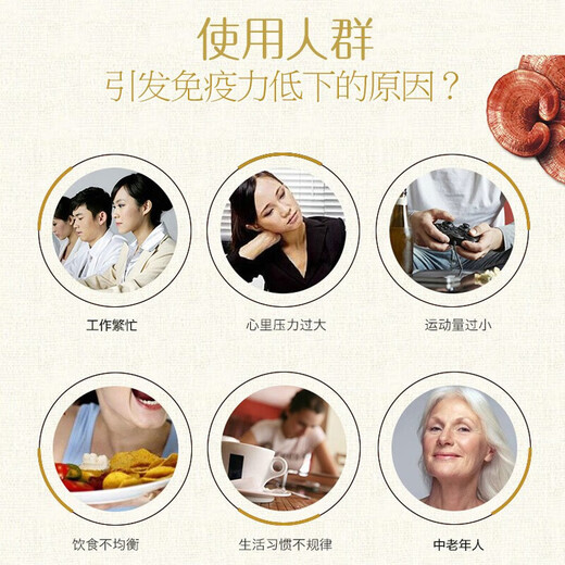 修正修正灵芝孢子粉胶囊破壁灵芝孢子粉增强免疫灵芝粉孢子粉手术后营 修正 破壁灵芝孢子粉胶囊60粒