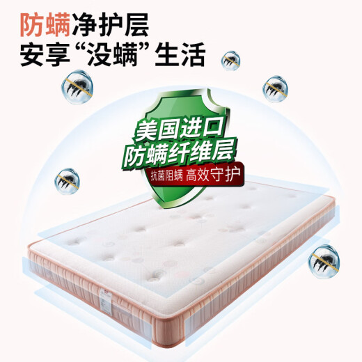 麒麟（Kylin）【线下同款】麒麟床垫 空气棉学生独立弹簧高端加厚防螨床垫 爱宝男款：小熊图案 1350*2000
