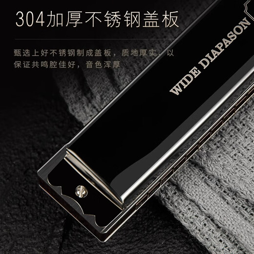 天鹅德国进口音簧天鹅28孔高端复音c调口琴 高级成人专业重音演奏级琴 28孔D调高端专业演奏复音