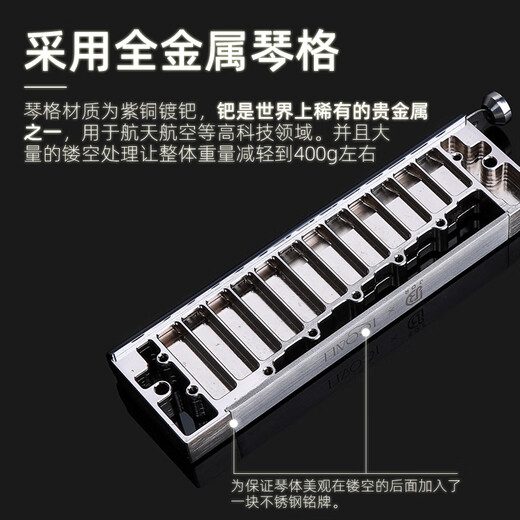 Gardry (JDR) Mondlicht Design Japaner importierter Ring Luna Luna Advanced Professional Performance 12-Loch-Chronik Harmonische 12-Loch-Grau-Bürstbedeckung
