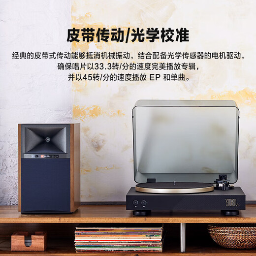 JBL Music Family 300 Bluetooth Speaker + Music Waltz SPINNER BT Professional Gramophone Vinyl Record Player Set