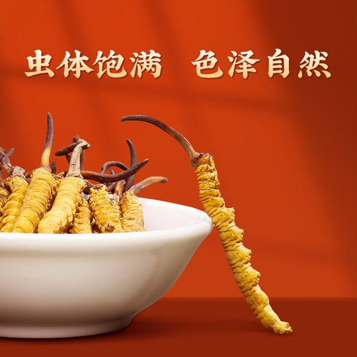 San Dikang Cordyceps sinensis, neue getrocknete Cordyceps nahrhafte Geschenke, Geschenke für Älteste, Ernährungsprodukte, 4 Stöcke/g, 30 Gramm, 120 Sticks