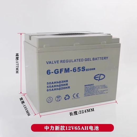Zhongli electric forklift battery Little King Kong handling forklift battery battery 24V40AH48V20AH lithium battery EPT20-15ET2L 24V 50A