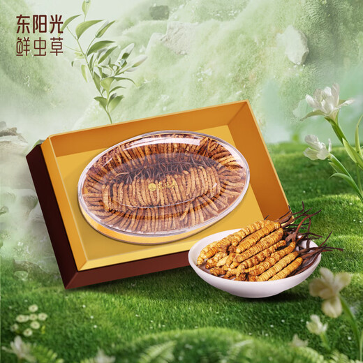 东阳光冬虫夏草3-4根/g75g约260根滋补礼盒冬虫草营养品补品送长辈老人