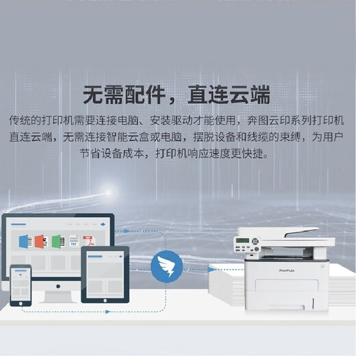 奔图（PANTUM） M7170DW黑白激光多功能一体机  无线自动双面（打印 复印 扫描）三合一 M7170DW 标配打印机 标准版