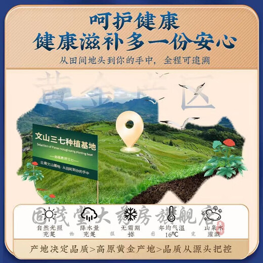 Store de vente directe de pharmacie officielle, médecine chinoise, Panax Notoginseng Powder 255G, Yunnan Wenshanyuan, Tianqi Powder 1 Can