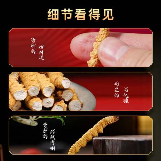 Shouyangtang Cordyceps sinensis 4 roots/g 20g Cordyceps gift box for freshly dried Cordyceps supplements for parents [selected gift box]