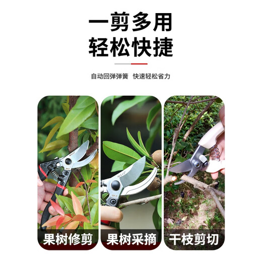 莎庭 SARTILL不锈钢园林剪刀粗枝剪果树剪树枝剪修枝修花园艺小剪刀多功能 14116修枝剪+14116摘果剪