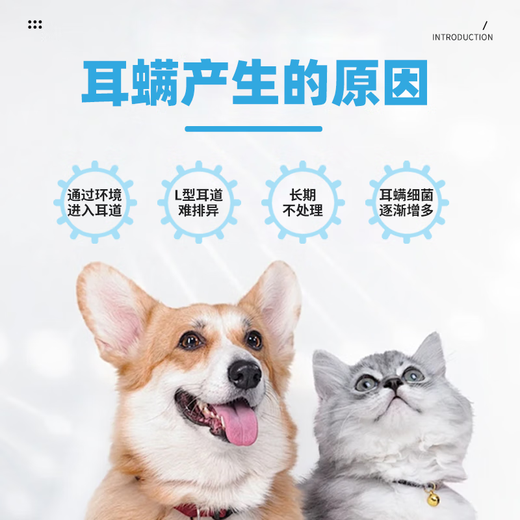 Hidoc cat and dog ear mite medicine ear pet ointment puppies and kittens compound nystatin otitis infection ointment 10g compound nystatin + ear cleaning solution