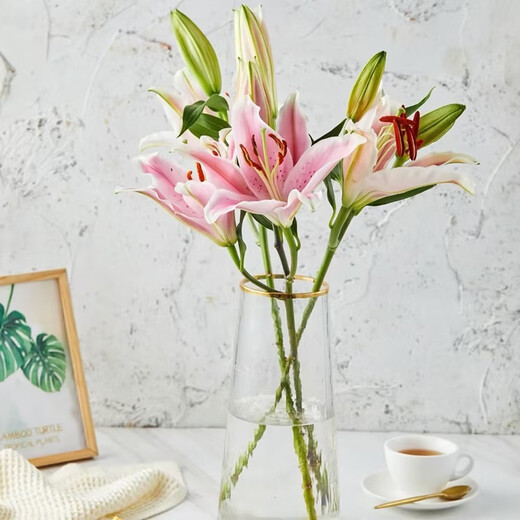 9 pink lilies (3-4 buds shipped)