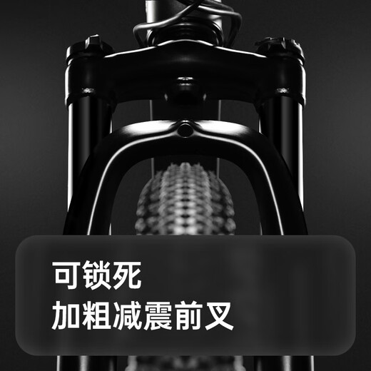 Forever bicycle adult mountain bike male and female student bicycle blueprint oil disc bicycle gray wire disc 26 inches 24 speed