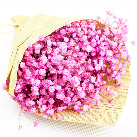 AIMAN Букет из гипсофилы из сушеных цветов Юньнань Натуральный сушеный подарок на день рождения DIY Украшение для гостиной Домашняя мебель Настоящие сухоцветы Белый + синий Смешанная гипсофила с газетой + лентой