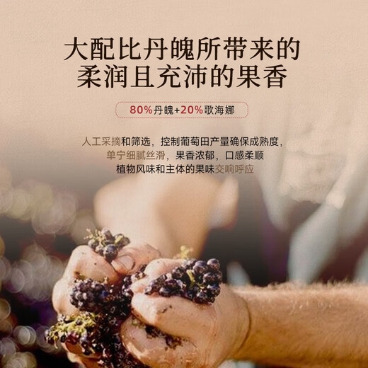 朗柏特法国红酒整箱干红葡萄酒女士微醺晚安小酒原酒进口187ml礼盒装
