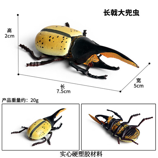 毅彩科教仿真动物昆虫模型玩具蜘蛛蚱蜢蝴蝶蜗牛沙盘场景摆件 M684巴西红丝绒蜘蛛[000