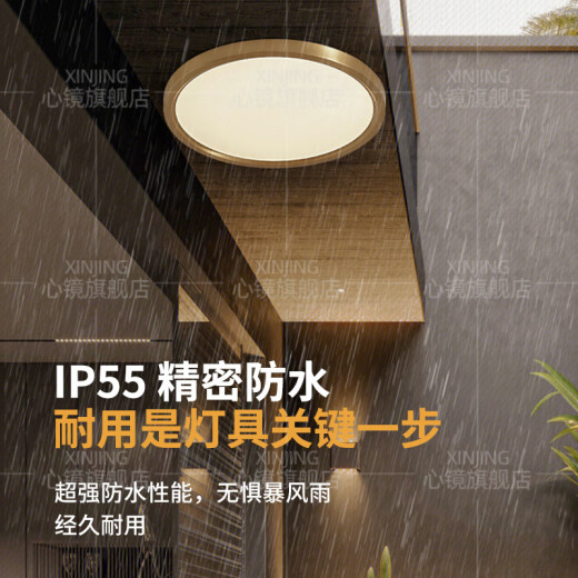 心镜全铜户外吸顶灯别墅大门口超薄门前灯室外过道阳台灯防蚊虫庭院灯 X3893-400/方形