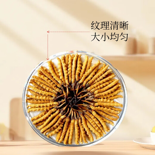 Cordyceps Sinensis Cordyceps Sinensis à haute altitude haute altitude Cordyceps Sinensis Box disponible. 2 1 gram Cordyceps sinensis dans le tibet nago cordyceps sinensis 10 pièces au total