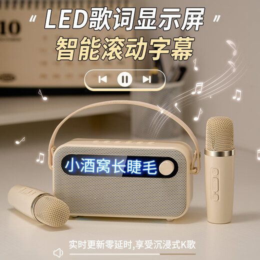 朵帆10岁女孩生日礼物7-14女童麦克风话筒音响一体机儿童玩具3-6岁