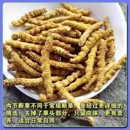 
Beijing Tongrentang [Black Friday] Cordyceps sinensis cordyceps sinensis Ganzifeiqu nourishing and health products - 8 grams [No gift]