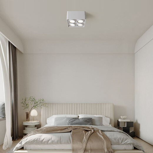 
Daguanyuan (DGY) surface-mounted downlight intelligent high finger display anti-glare no-glare living room lighting ceiling light Guangdong Zhongshan lamp 429O 9853 Mi Home - Double-head white Purui 20W pole-less