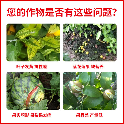 Jinzhengda calcium and magnesium water-soluble fertilizer with medium amount of elements for fruit trees and vegetables to prevent hollow cracked fruit deformity, fruit expansion and fruit strengthening fertilizer calcium and magnesium for fertilization 5L