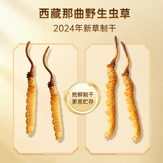 Caja de regalo de alta gama de Yuanjiang Grass Tíbet Nagqu Cordyceps Tonic Nutricional Productos nutricionales para padres y ancianos [Naqu Wild] 4 Roots/G 20g Caja de regalo de corteza
